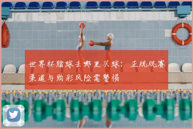世界杯赌球去哪里买球:正规观赛渠道与购彩风险需警惕
