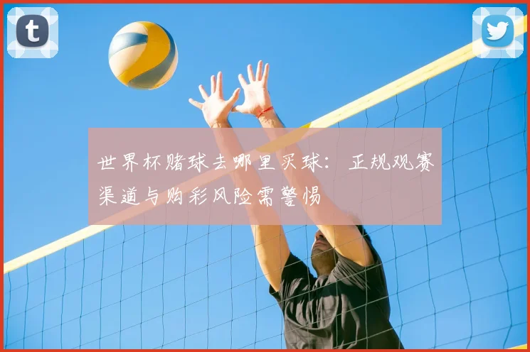 世界杯赌球去哪里买球:正规观赛渠道与购彩风险需警惕