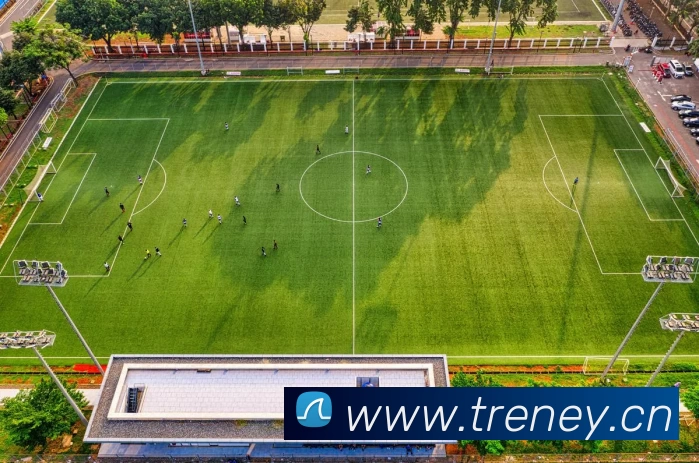 App Interface Preview